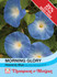 Morning Glory Heavenly Blue (Ipomoea)