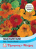 Nasturtium Tom Thumb Mixed