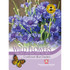 Wild Flower Cornflower Blue Diadem