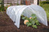 poly tunnel picture