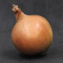 Onion Stur 20