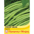 Dwarf Bean 'Speedy'