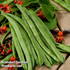 Runner Bean Celebration