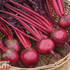 Beetroot 'Morello'