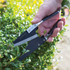 Stainless Steel Topiary Shear (DP852)