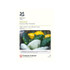 Squash Summer Mix F1 Hybrid