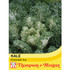 Kale 'Emerald Ice'
