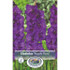 Gladiolus Purple Flora (OD)