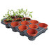 Professional Growing Tray (12 x 11cm Pots)