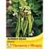 Runner Bean 'Desiree'