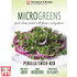 Microgreens 'Perilla/Shiso Red'