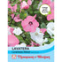 Lavatera Loveliness Mixed