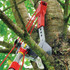 Adjustable Tree Lopper Head (Rcvm)