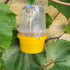 Wasp Trap and 100ml Attractant