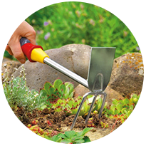 Weed Control
