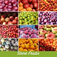 Stone Fruits