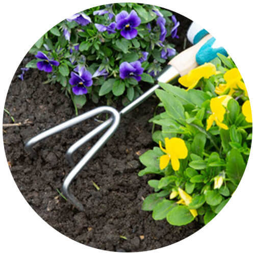 Wilkinson Swords Garden Tools