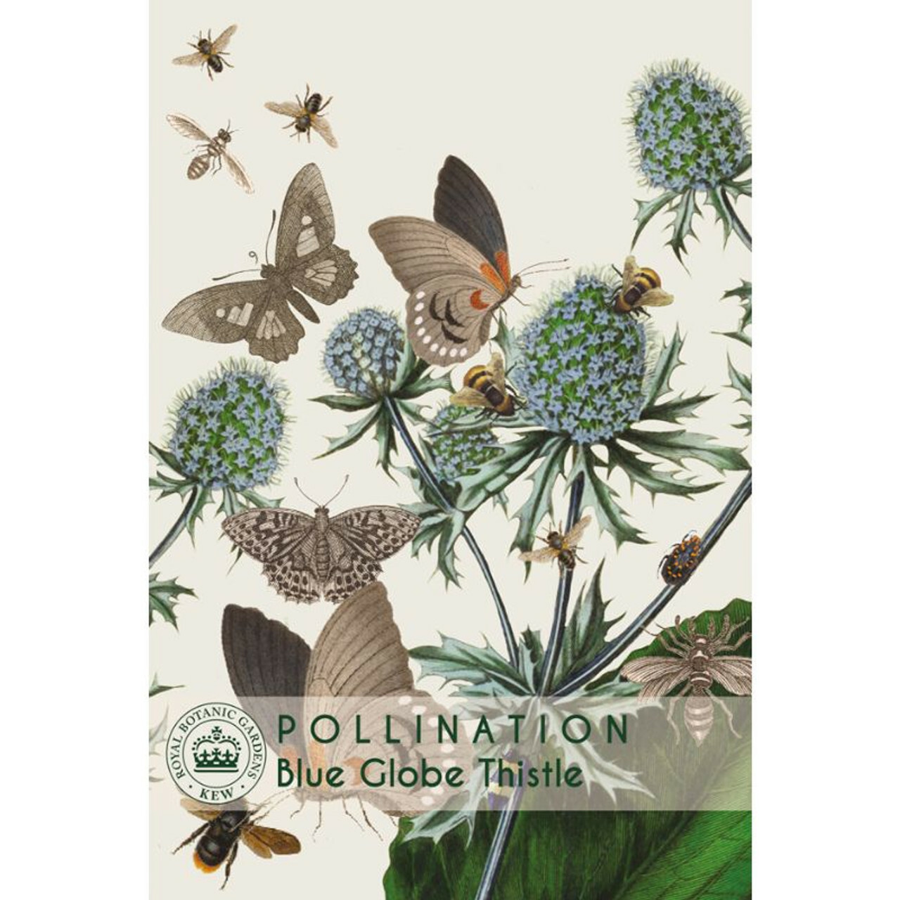 Kew Pollinators