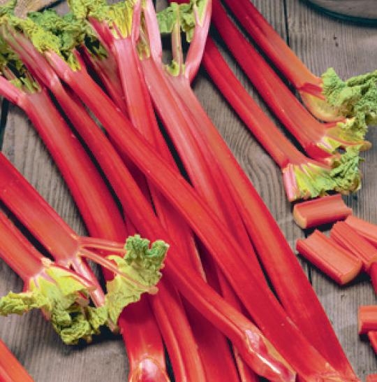Rhubarb