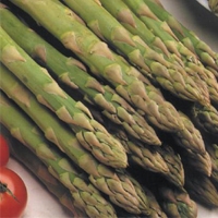 Asparagus