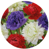Naturalizing
