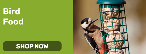 Bird Food
