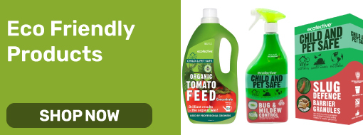 Eco Friendly Products