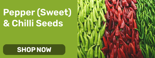 pepper-sweet-chilli-seeds
