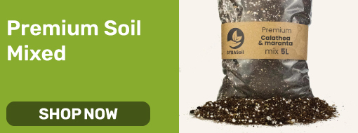 Premium Soil Mixed
