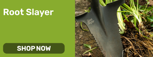 Root Slayer