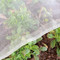 Insect Mesh Protection Netting