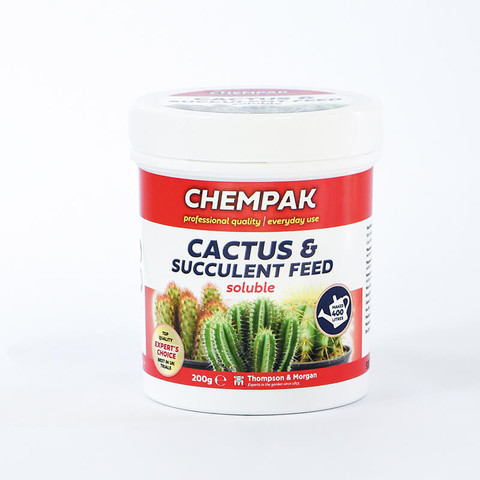 Does A Cactus Need Fertilizer - How And When To Feed Cactus Plants