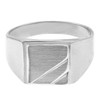 The Phoebus Solid White Gold Signet Ring