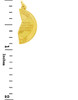 Jewish Charms - Mizpah Coin Gold Pendant