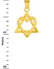 Yellow Gold Star of David Heart Medium Pendant (1.1")