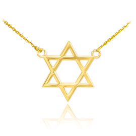 14K Gold Star of David Necklace