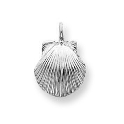 White Gold Seashell Charm