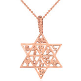 Solid Rose Gold Jewish Star of David Charm 12 Tribes of Israel Pendant Necklace