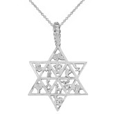 Solid White Gold Jewish Star of David Charm 12 Tribes of Israel Pendant Necklace