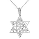 Sterling Silver Jewish Star of David Charm 12 Tribes of Israel Pendant Necklace