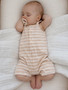 Biscuit Stripe/Organic Shortie
