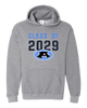 Aldine Mustangs Class of 2029 Men's Hoodie