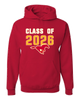 Abraham Lincoln Mustangs Class of 2026 Men's Premium Hoodie
