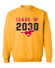 Abraham Lincoln Mustangs Class of 2030 Men's Sweatshirt