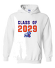Freeport Bulldogs Anchor Class of 2029 Men's Hoodie