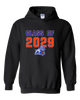Freeport Bulldogs Anchor Class of 2029 Men's Hoodie
