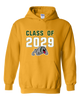 Whitefish Bulldogs Class of 2029 Men's Hoodie