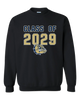 Decatur Bulldogs Class of 2029 Men's Sweatshirt