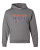 Grand Oaks Grizzlies Claw Spirit Flag Men's Premium Hoodie