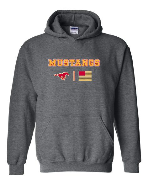 Abraham Lincoln Mustangs Team Colors Flag Men's Hoodie